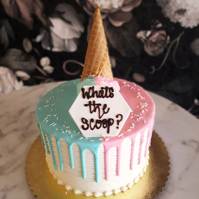 What's The Scoop? | Gender Reveal Party | Pink or Blue